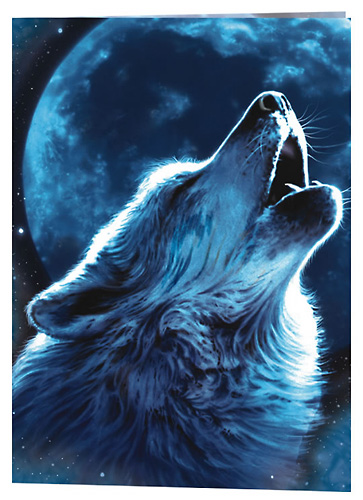 The Wicked Lonely Wolf 